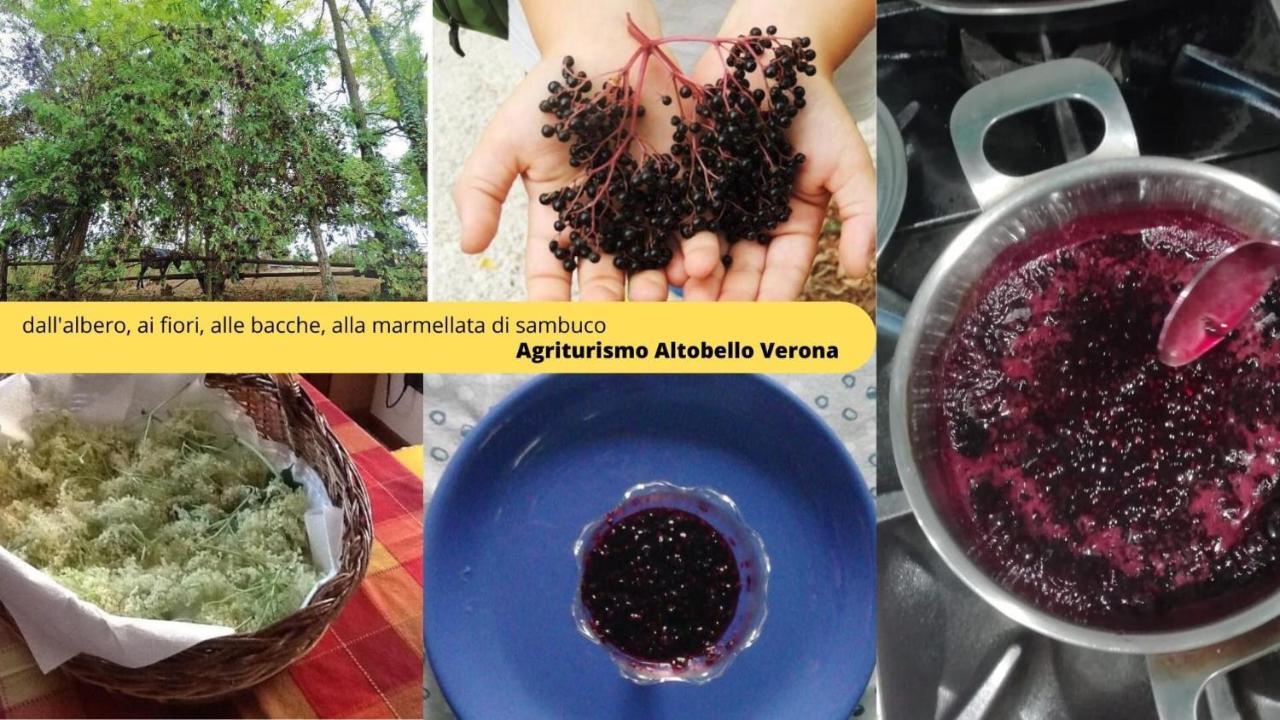Agriturismo Altobello Verona Exteriör bild