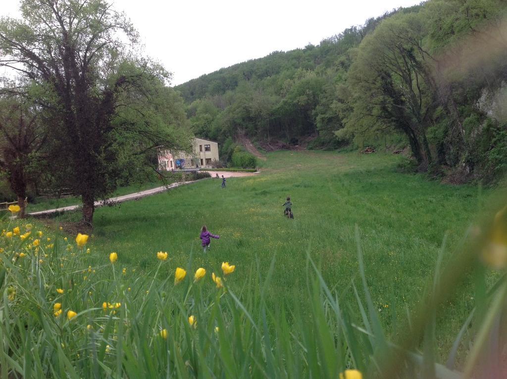 Agriturismo Altobello Verona Exteriör bild