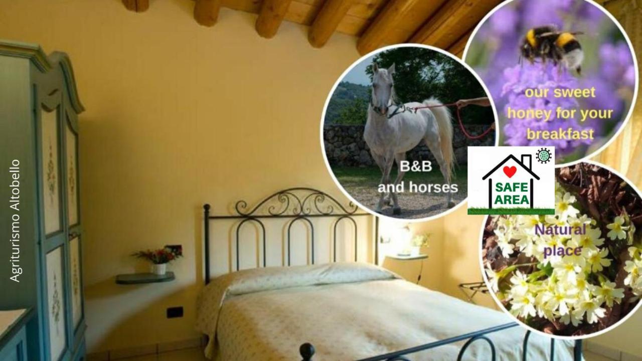 Agriturismo Altobello Verona Exteriör bild